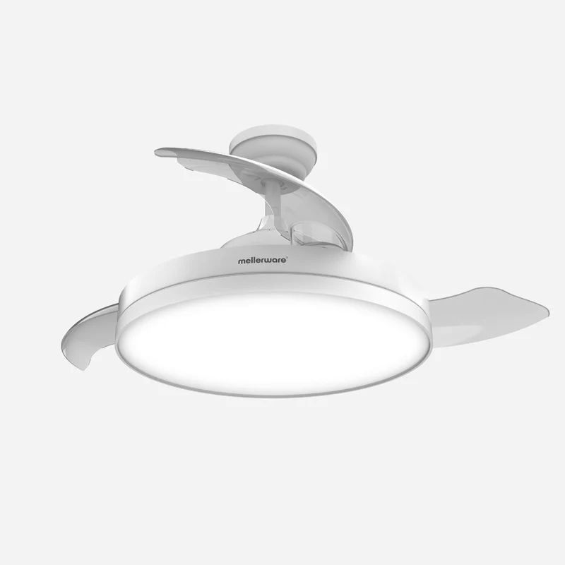 Brizy Bright Foldable - FP