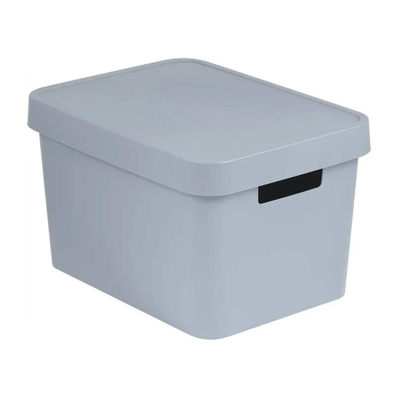 Caja de almacenamiento con tapa Curver Infinity 17L gris