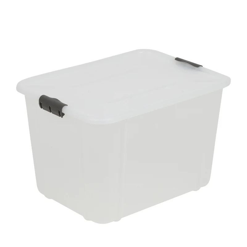BranQ Velur 30L Contenedor de almacenamiento con tapa transparente