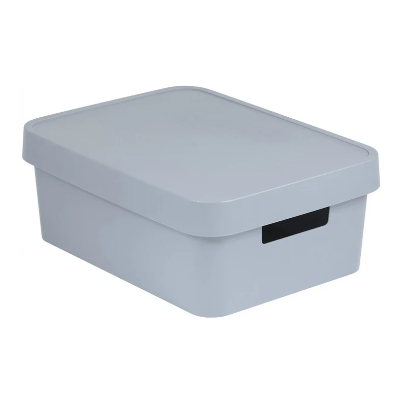 Caja de almacenamiento con tapa Curver Infinity 11L gris